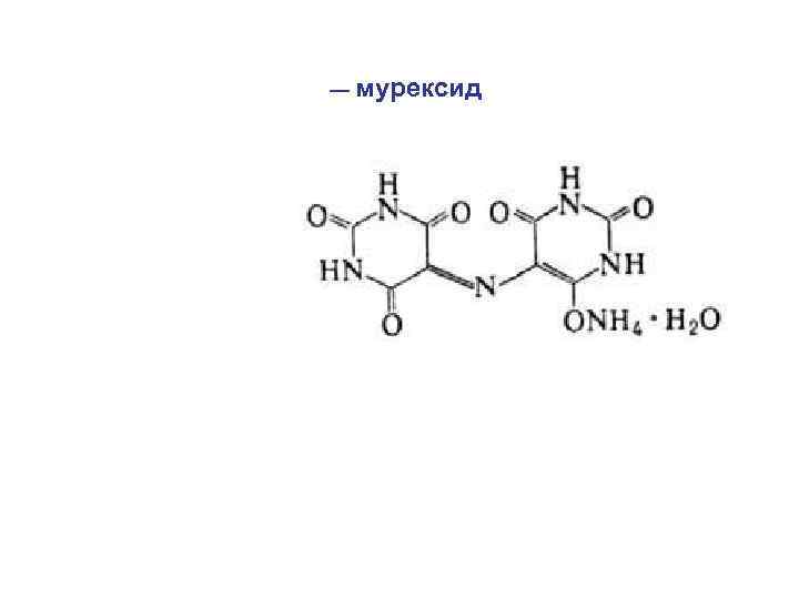 — мурексид 