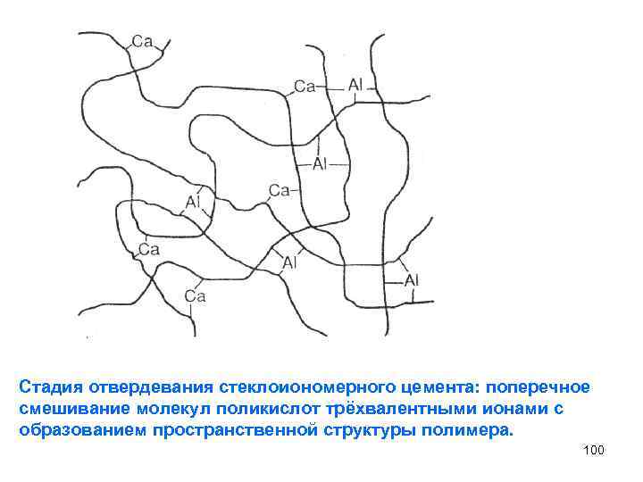 Стадия отвердевания стеклоиономерного цемента: поперечное смешивание молекул поликислот трёхвалентными ионами с образованием пространственной структуры