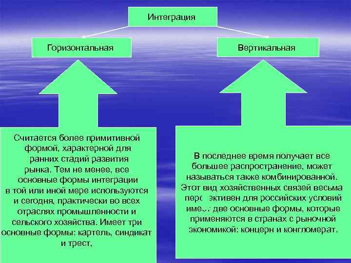 Интеграция Горизонтальная Считается более примитивной формой, характерной для ранних стадий развития рынка. Тем не