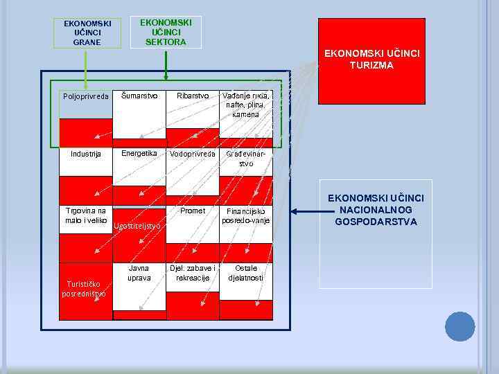 EKONOMSKI UČINCI GRANE EKONOMSKI UČINCI SEKTORA EKONOMSKI UČINCI TURIZMA Poljoprivreda Šumarstvo Ribarstvo Vađenje ruda,