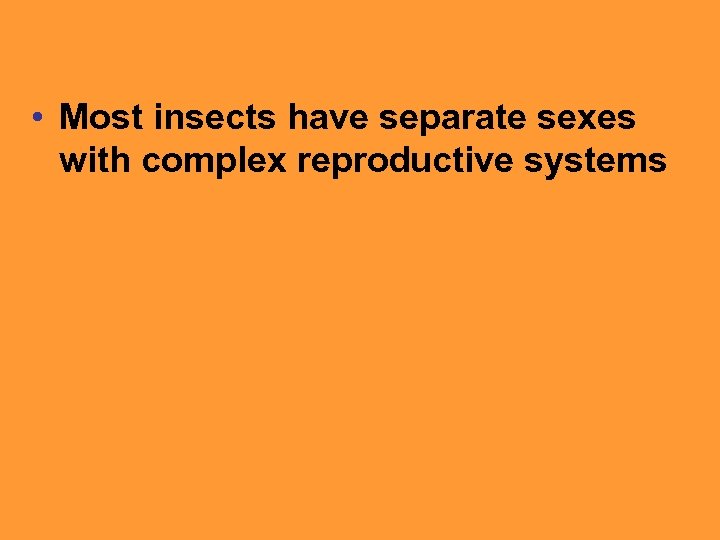  • Most insects have separate sexes with complex reproductive systems 