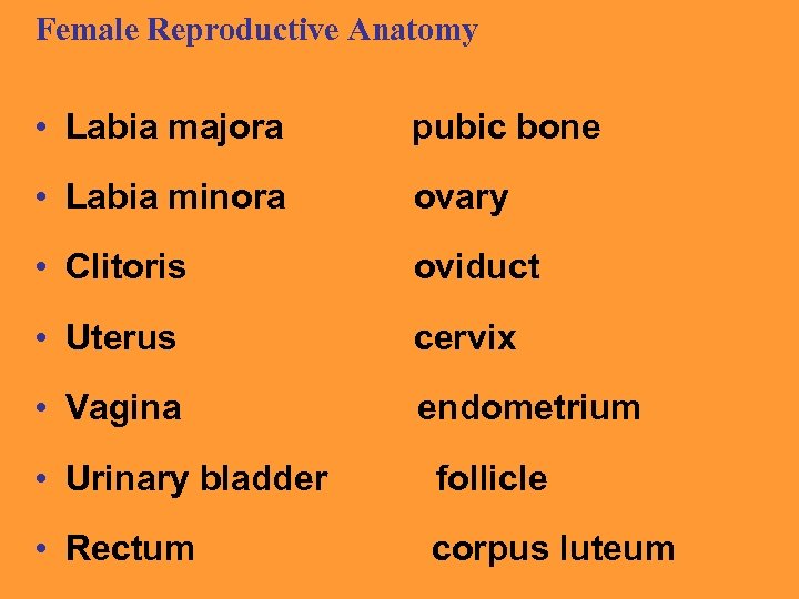 Female Reproductive Anatomy • Labia majora pubic bone • Labia minora ovary • Clitoris