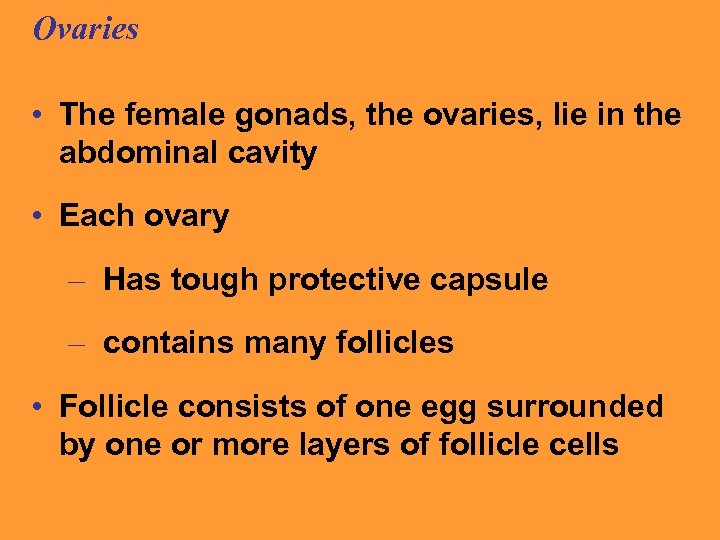 Ovaries • The female gonads, the ovaries, lie in the abdominal cavity • Each