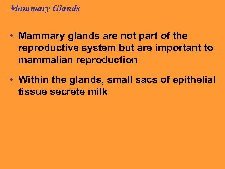 Mammary Glands • Mammary glands are not part of the reproductive system but are