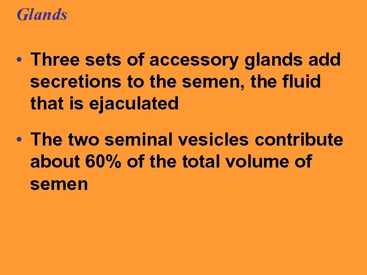 Glands • Three sets of accessory glands add secretions to the semen, the fluid