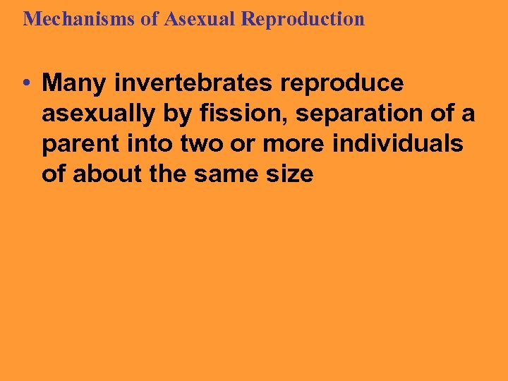 Mechanisms of Asexual Reproduction • Many invertebrates reproduce asexually by fission, separation of a