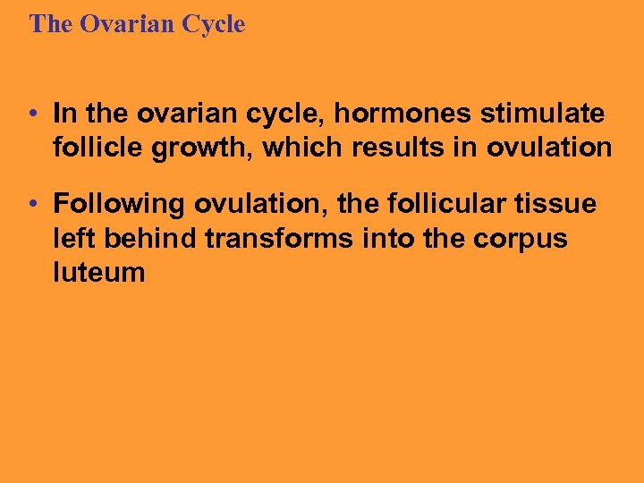 The Ovarian Cycle • In the ovarian cycle, hormones stimulate follicle growth, which results
