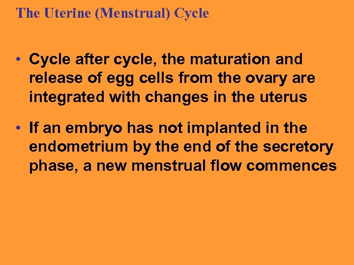 The Uterine (Menstrual) Cycle • Cycle after cycle, the maturation and release of egg