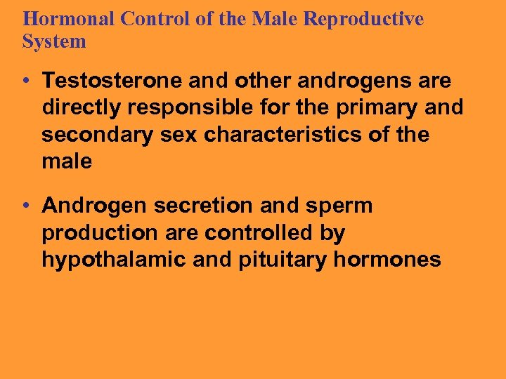Hormonal Control of the Male Reproductive System • Testosterone and other androgens are directly
