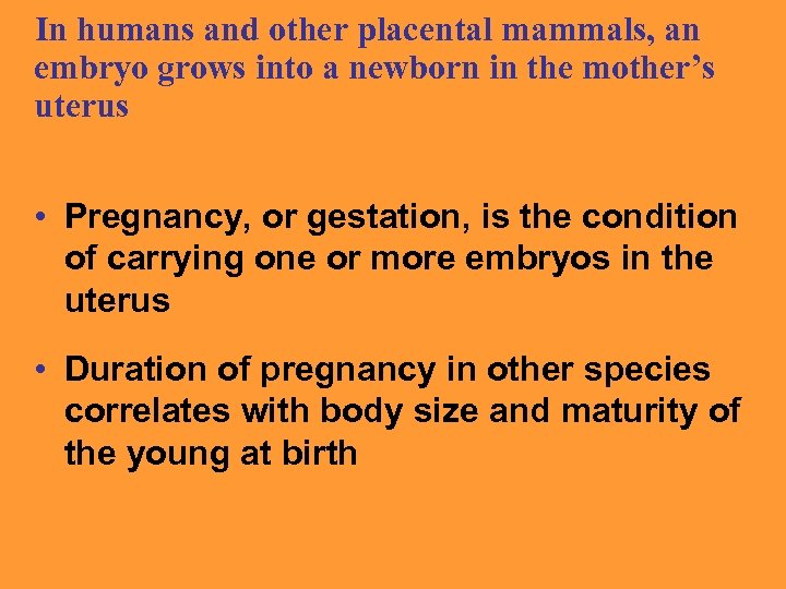 In humans and other placental mammals, an embryo grows into a newborn in the