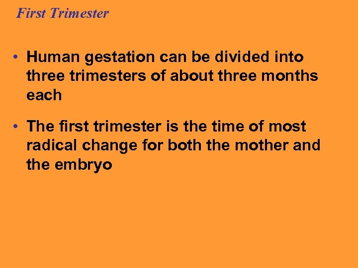 First Trimester • Human gestation can be divided into three trimesters of about three