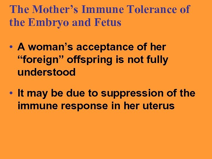 The Mother’s Immune Tolerance of the Embryo and Fetus • A woman’s acceptance of