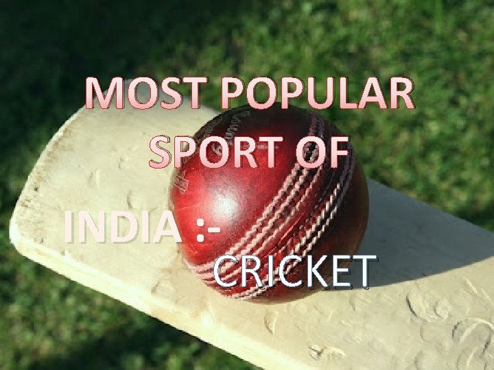 MOST POPULAR SPORT OF INDIA : CRICKET 