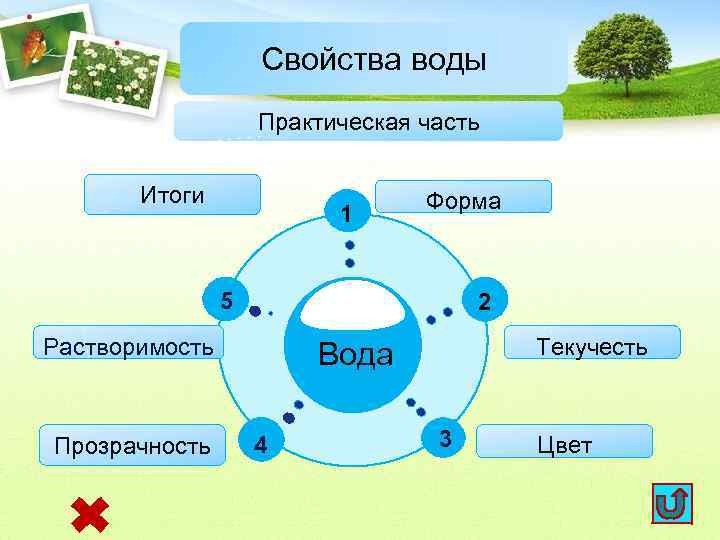 Свойства воды Практическая часть Итоги 1 Форма 5 2 Растворимость Прозрачность Текучесть Вода 4