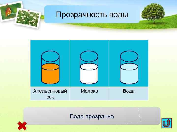 Прозрачность воды Апельсиновый сок Молоко Вода прозрачна Вода 