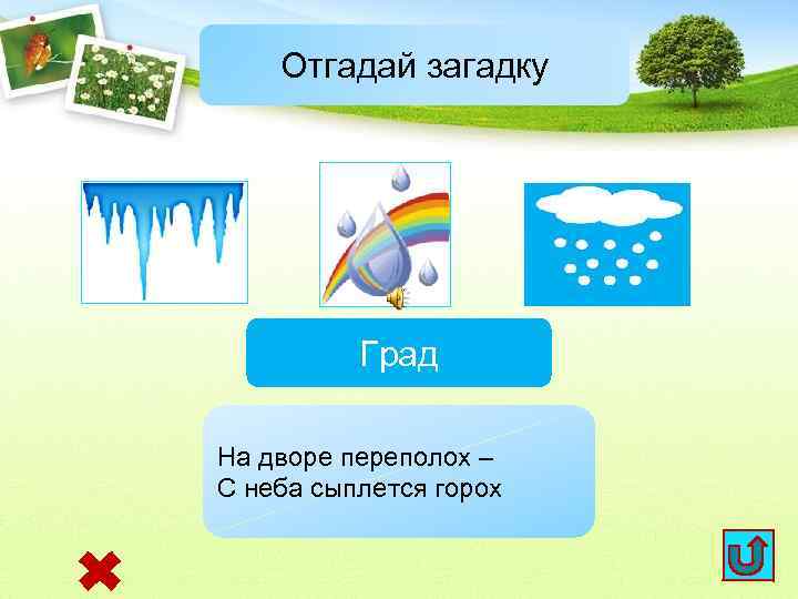 Отгадай загадку Град На дворе переполох – С неба сыплется горох 