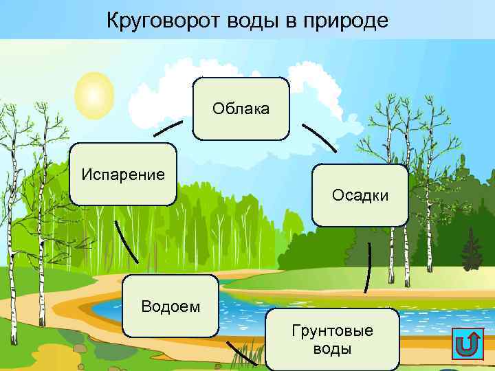 Круговорот воды в природе Облака Испарение Осадки Водоем Грунтовые воды 