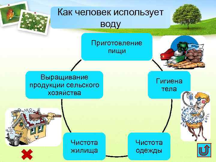 Как человек использует воду Приготовление пищи Выращивание продукции сельского хозяйства Чистота жилища Гигиена тела