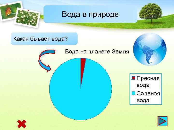 Вода в природе Какая бывает вода? Вода на планете Земля Пресная вода Соленая вода