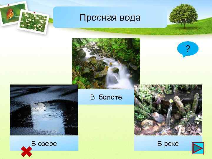 Пресная вода ? ВВболоте ручье В озере В луже В В реке роднике 