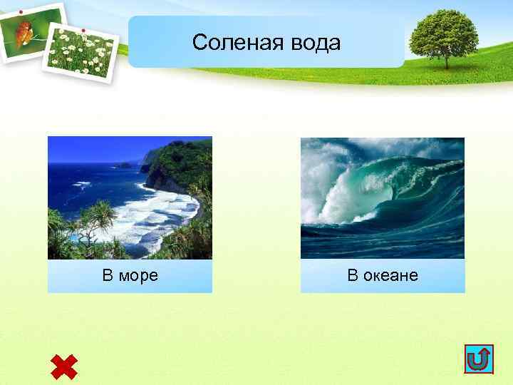 Соленая вода В море В океане 