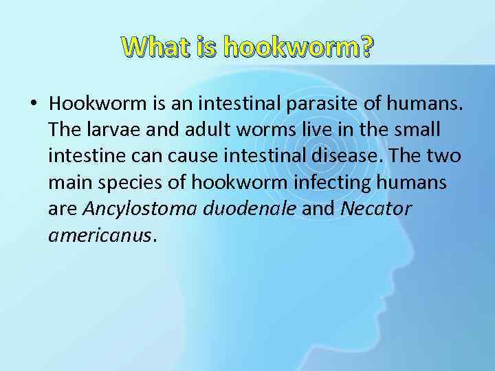 What is hookworm? • Hookworm is an intestinal parasite of humans. The larvae and