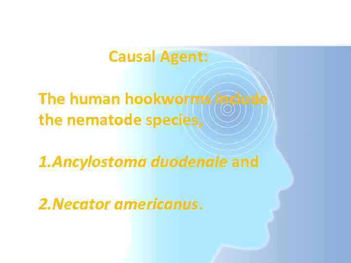 Causal Agent: The human hookworms include the nematode species, 1. Ancylostoma duodenale and 2.