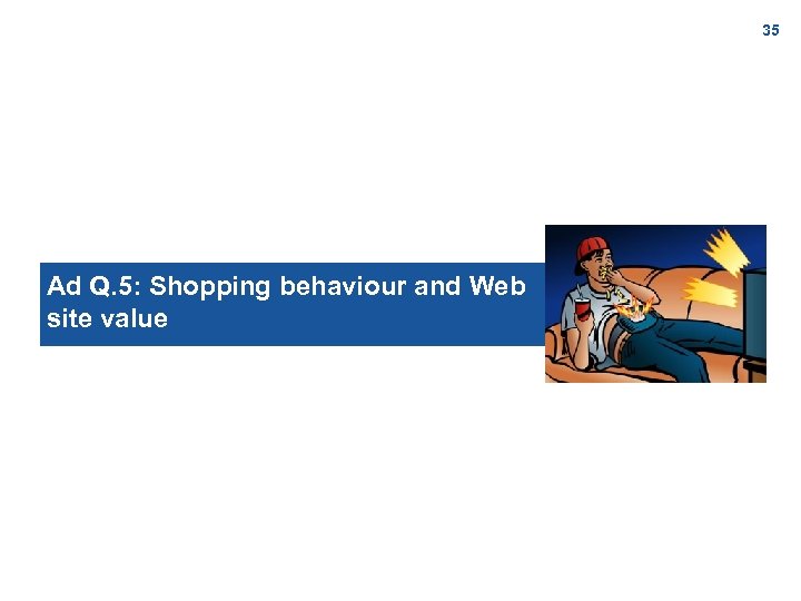 35 Ad Q. 5: Shopping behaviour and Web site value 