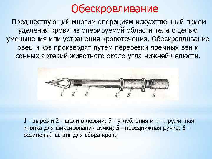 Обескровливание Предшествующий многим операциям искусственный прием удаления крови из оперируемой области тела с целью