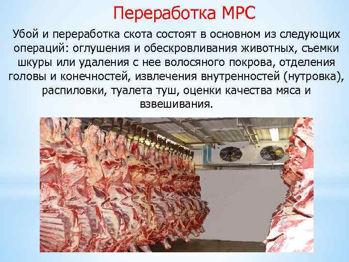 Переработка МРС Убой и переработка скота состоят в основном из следующих операций: оглушения и