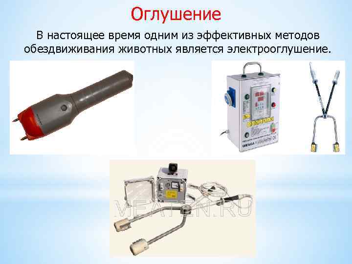 Оглушение В настоящее время одним из эффективных методов обездвиживания животных является электрооглушение. 