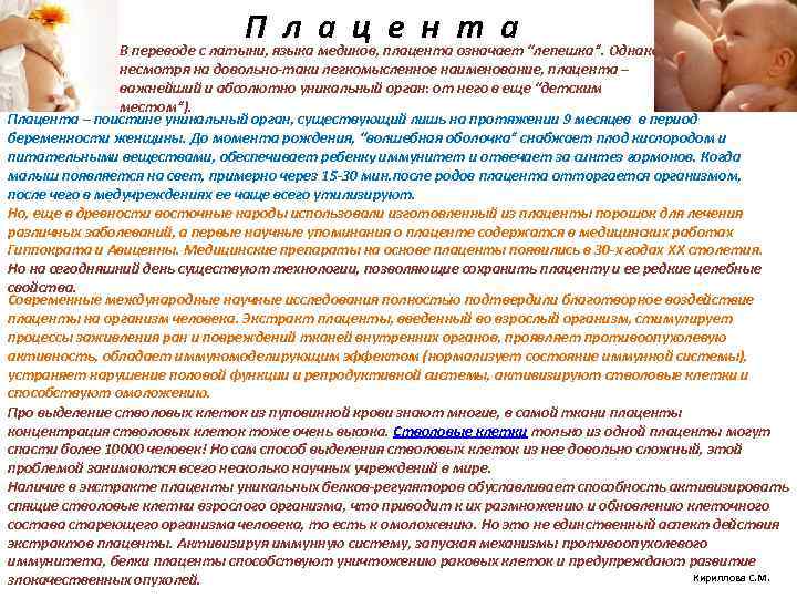 П л а ц е н т а В переводе с латыни, языка медиков,