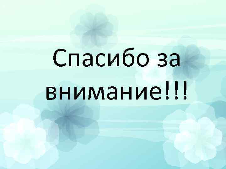 Спасибо за внимание!!! 