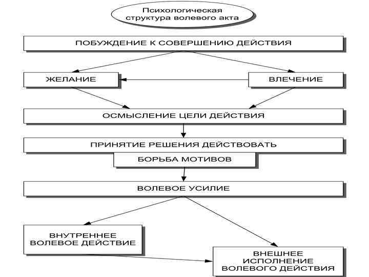 Структура волевого акта в психологии схема