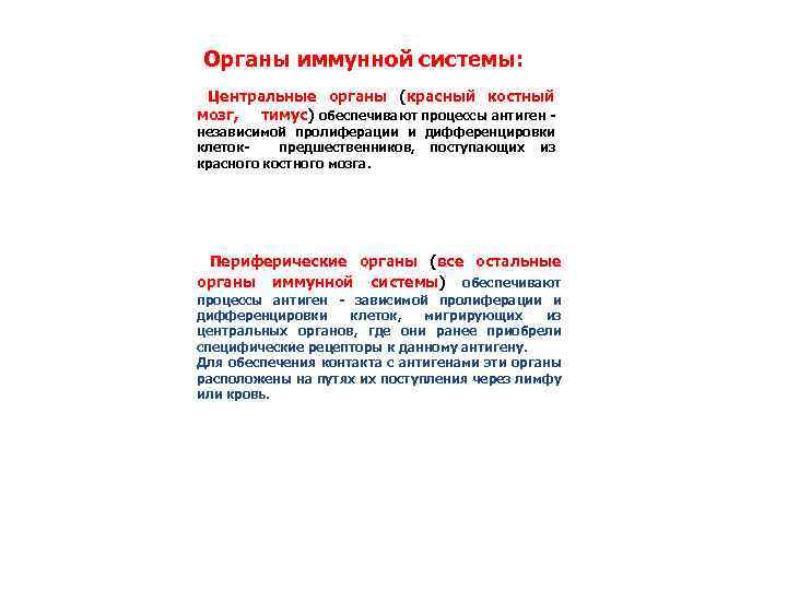 Органы иммунной системы: Центральные органы (красный костный мозг, тимус) обеспечивают процессы антиген независимой пролиферации