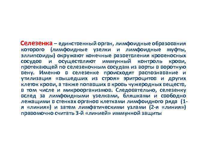  Селезенка – единственный орган, лимфоидные образования которого (лимфоидные узелки и лимфоидные муфты, эллипсоиды)