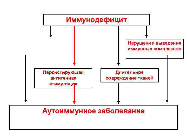 Иммунодефицит Нарушение выведения иммунных комплексов Персистирующая антигенная стимуляция Длительное повреждение тканей Аутоиммунное заболевание 