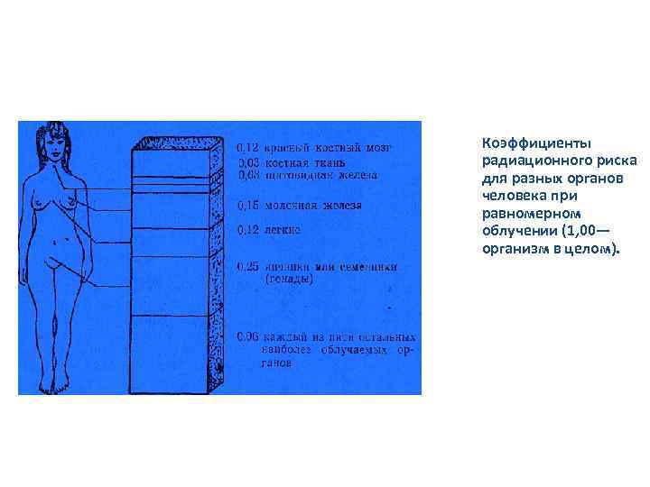 Коэффициенты радиационного риска для разных органов человека при равномерном облучении (1, 00— организм в