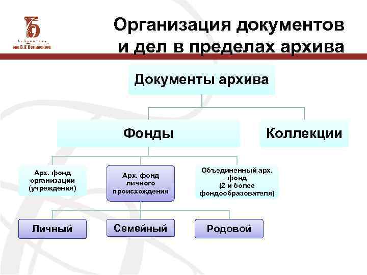 Организация документов и дел в пределах архива Документы архива Фонды Арх. фонд организации (учреждения)