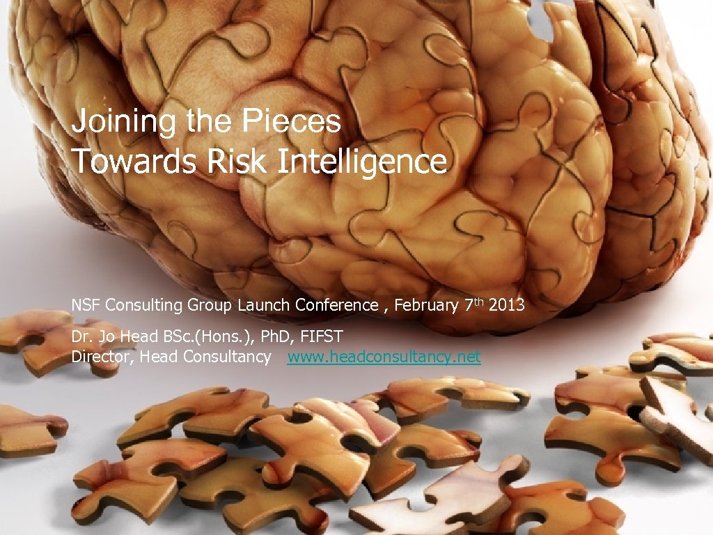 Joining the Pieces Towards Risk Intelligence NSF Consulting Group Launch Conference , February 7