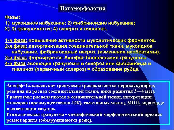 Патоморфология Фазы: 1) мукоидное набухание; 2) фибриноидно набухание; 2) 3) гранулематоз; 4) склероз и