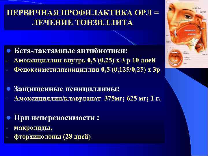 ПЕРВИЧНАЯ ПРОФИЛАКТИКА ОРЛ = ЛЕЧЕНИЕ ТОНЗИЛЛИТА l Бета-лактамные антибиотики: - Амоксициллин внутрь 0, 5