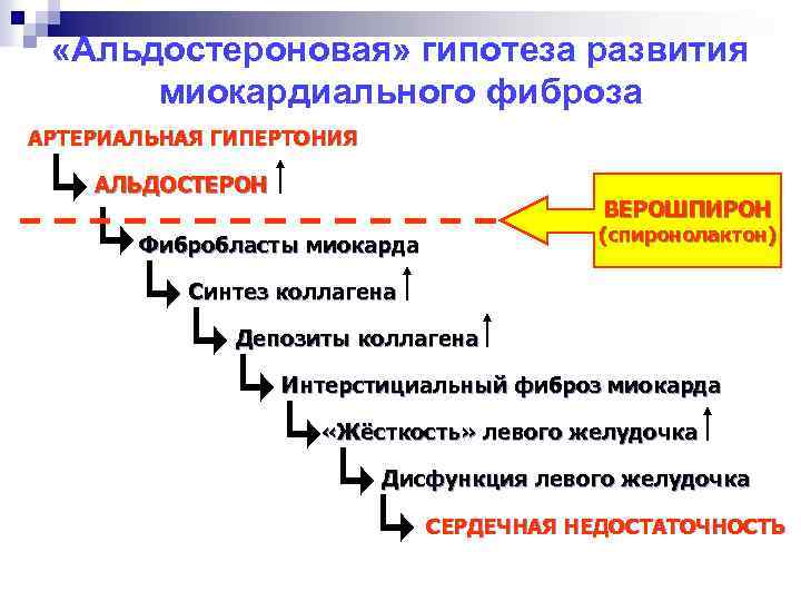  «Альдостероновая» гипотеза развития миокардиального фиброза АРТЕРИАЛЬНАЯ ГИПЕРТОНИЯ АЛЬДОСТЕРОН ВЕРОШПИРОН (спиронолактон) Фибробласты миокарда Синтез