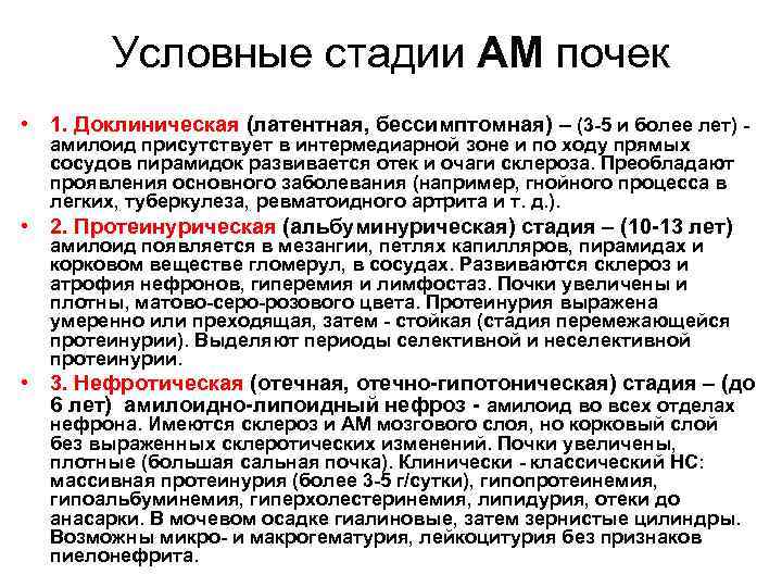 Условные стадии АМ почек • 1. Доклиническая (латентная, бессимптомная) – (3 -5 и более