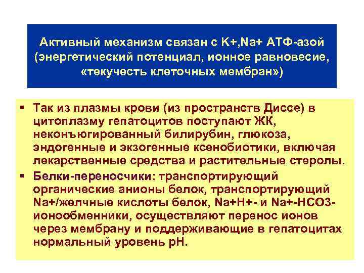 Активный механизм связан с K+, Na+ АТФ-азой (энергетический потенциал, ионное равновесие, «текучесть клеточных мембран»