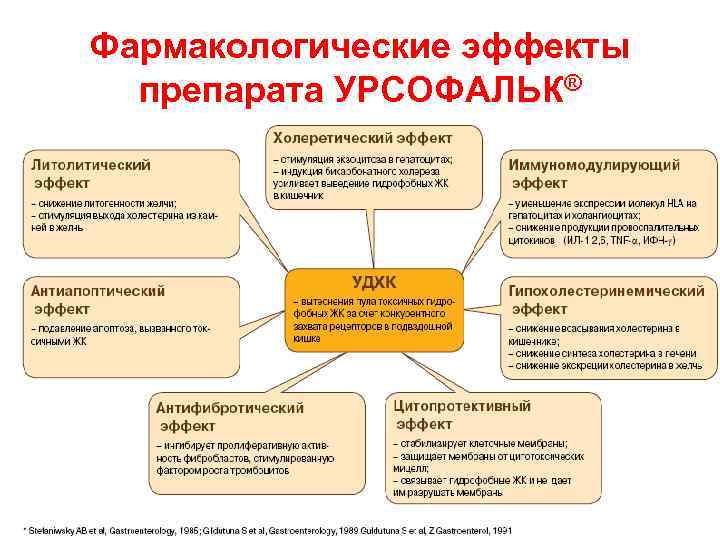 Фармакологические эффекты препарата УРСОФАЛЬК® 