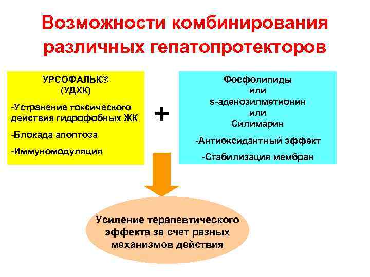 Возможности комбинирования различных гепатопротекторов УРСОФАЛЬК® (УДХК) -Устранение токсического действия гидрофобных ЖК -Блокада апоптоза -Иммуномодуляция