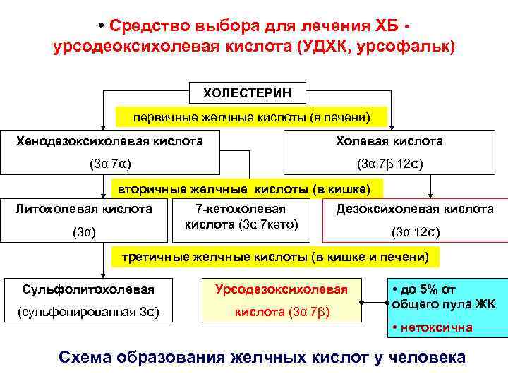  • Средство выбора для лечения ХБ - урсодеоксихолевая кислота (УДХК, урсофальк) ХОЛЕСТЕРИН первичные