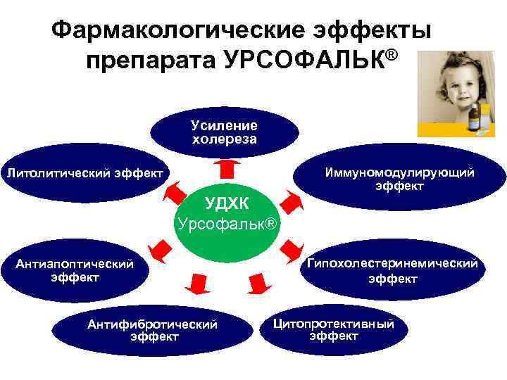 Фармакологические эффекты препарата УРСОФАЛЬК® Усиление холереза Иммуномодулирующий эффект Литолитический эффект УДХК Урсофальк® Антиапоптический эффект