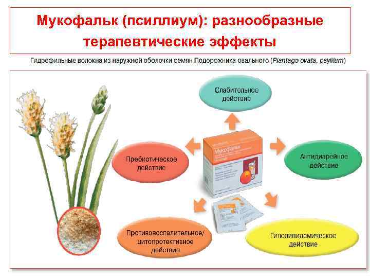 Мукофальк (псиллиум): разнообразные терапевтические эффекты 120 